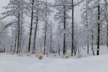 わくわくするような楽しいテクノポップの音楽素材「White season」